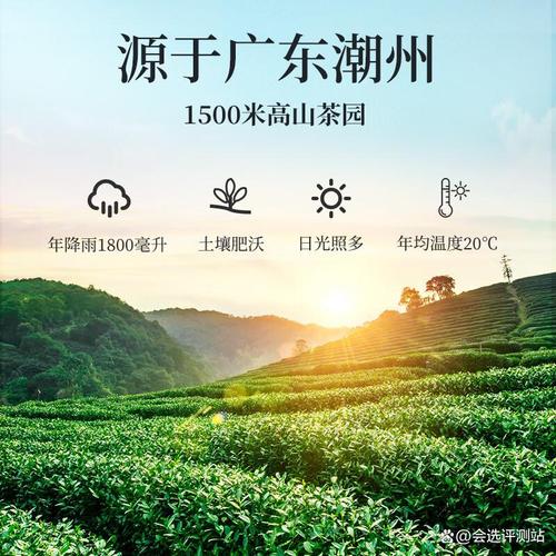 茶叶哪个品牌好？从入门到资深，轻松找到令人满意的选择