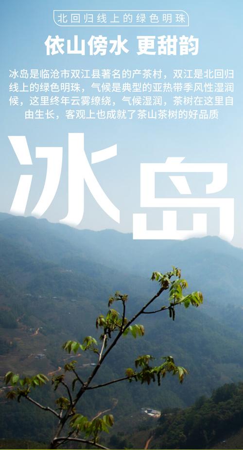 新益号冰岛普洱生茶十年陈龙珠小沱茶 古树风韵，一颗一泡的臻品之选