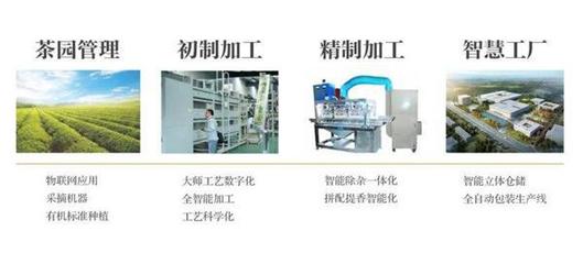 用工业化打破市场窘境，小罐茶正一步步走向更高的舞台